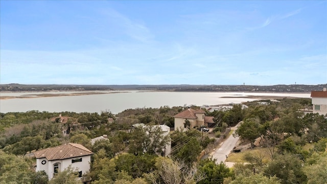6714 Mountain Trl, Austin, TX 78732 - water view