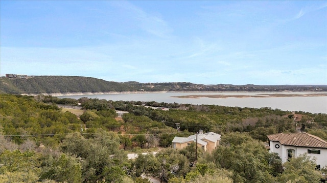 property view of water featuring a wooded view