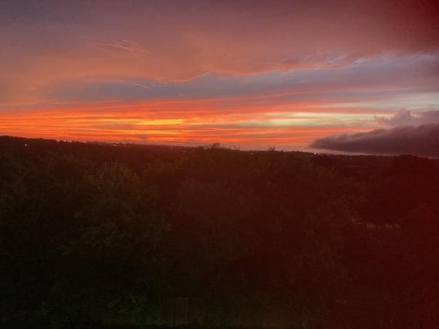 view of nature at dusk