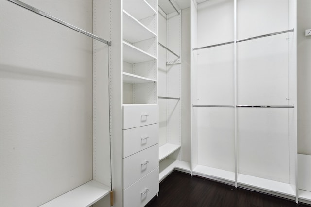 walk in closet with dark wood-style flooring