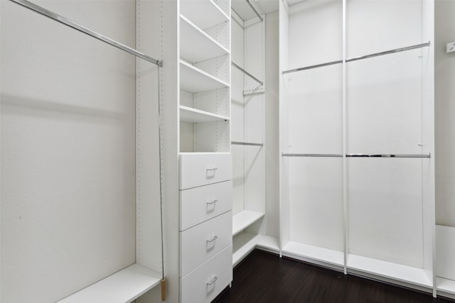 606 Anfield Cir, Austin, TX 78738 - walk in closet featuring dark wood-style floors