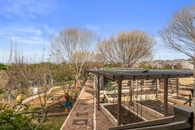 exterior space with a vegetable garden