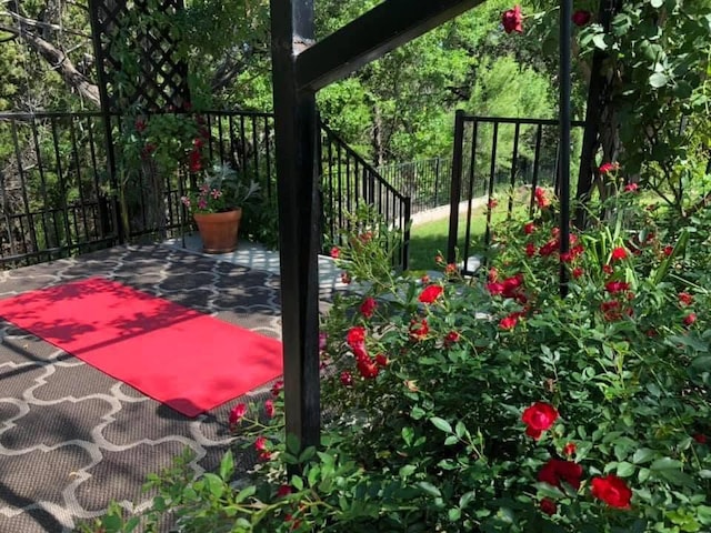 606 Anfield Cir, Austin, TX 78738 - view of gate