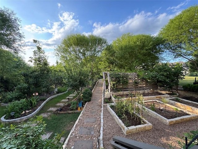 606 Anfield Cir, Austin, TX 78738 - view of yard with a vegetable garden