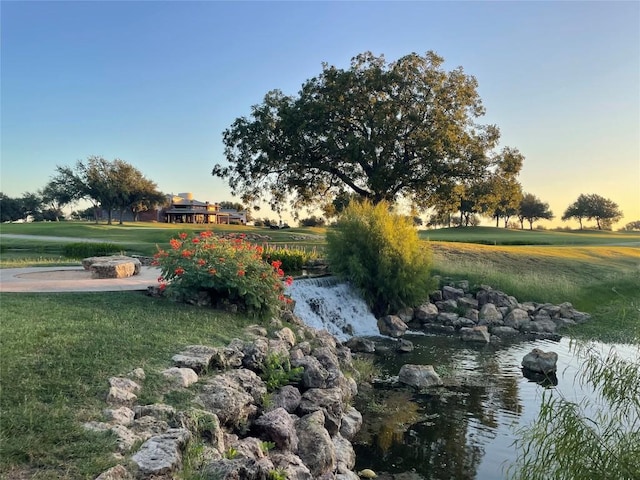 view of home's community with a yard