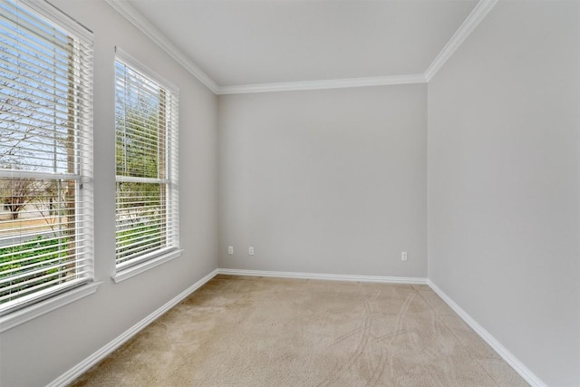 carpeted spare room with baseboards and crown molding