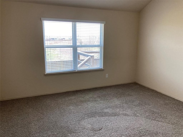 spare room featuring carpet floors