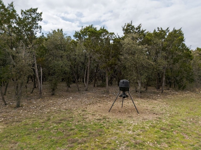 view of local wilderness