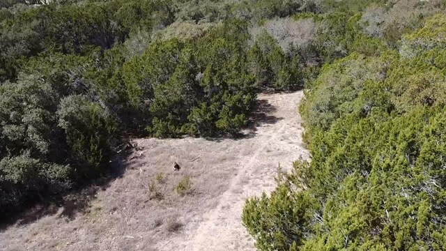 505 Cielo Vis, Canyon Lake, TX 78133 - photo 4