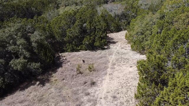 505 Cielo Vis, Canyon Lake, TX 78133 - photo 5