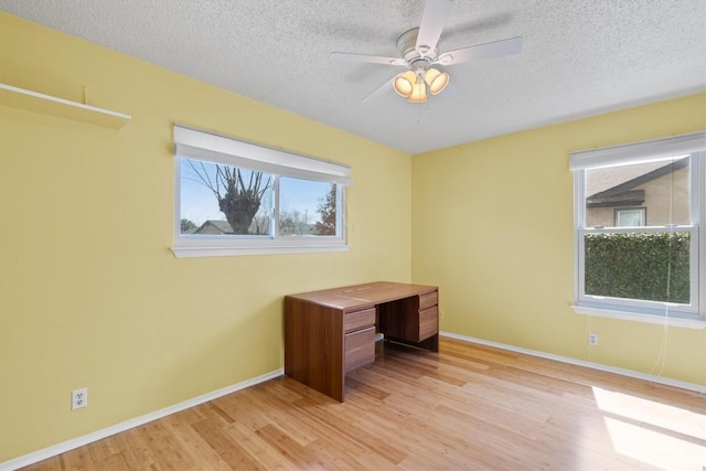 unfurnished office featuring light wood-style floors, ceiling fan, baseboards, and a textured ceiling