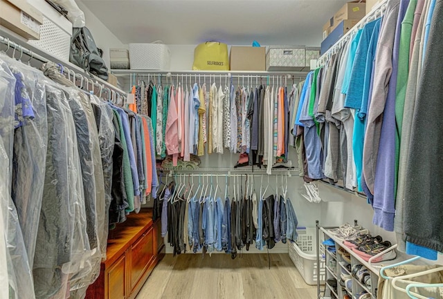 walk in closet with wood finished floors