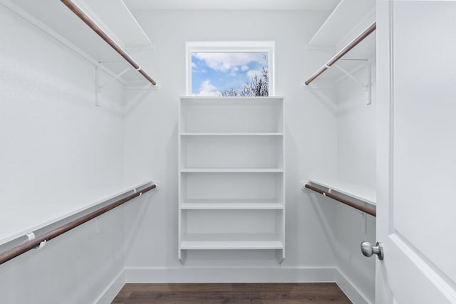 spacious closet featuring dark wood finished floors