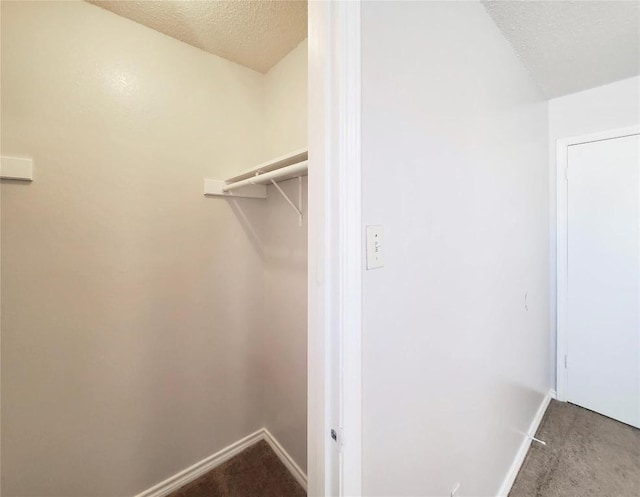 spacious closet with carpet floors