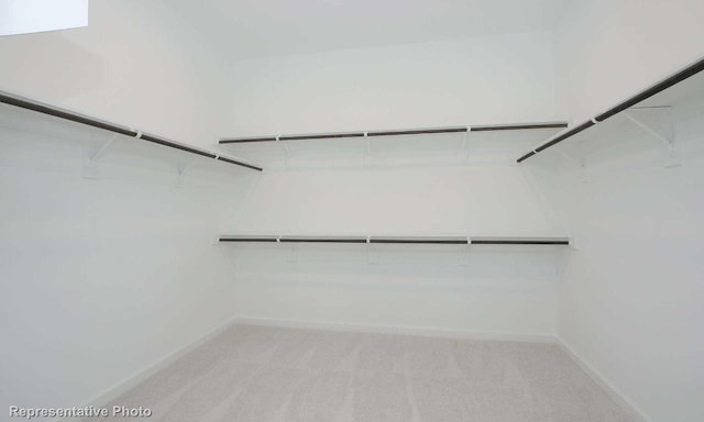 spacious closet featuring light colored carpet
