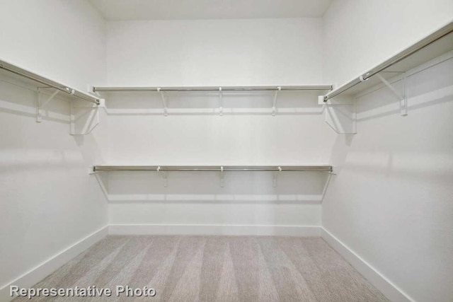 walk in closet featuring carpet floors