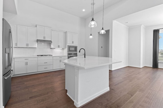 kitchen with dark wood-style flooring, light countertops, appliances with stainless steel finishes, a sink, and under cabinet range hood