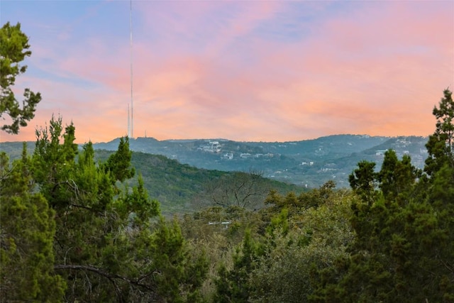 view of mountain feature