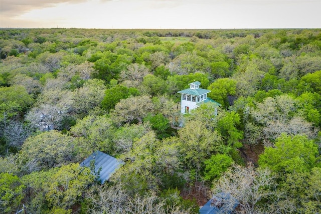 aerial view featuring a wooded view