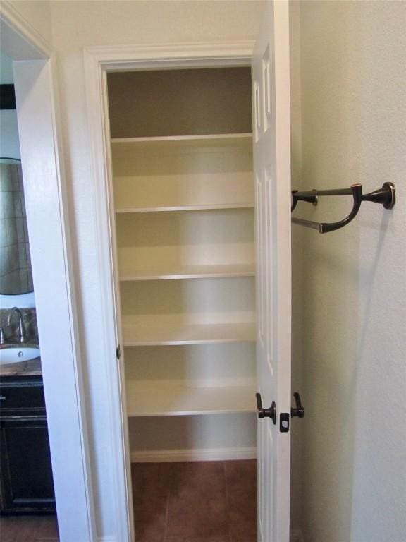 closet featuring a sink