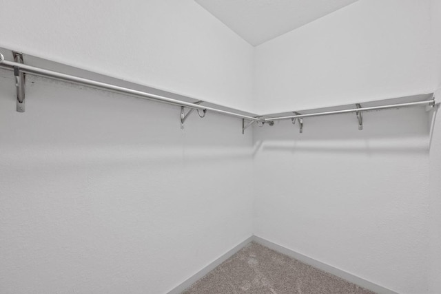 10410 Fulton Ave, Austin, TX 78754 - walk in closet featuring carpet flooring