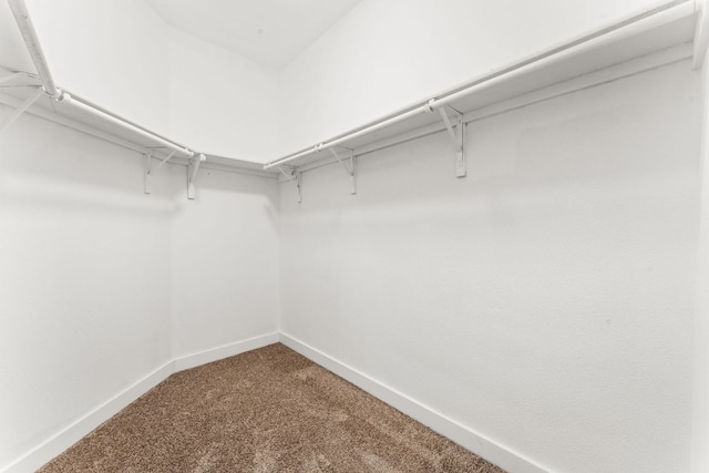 spacious closet with carpet flooring