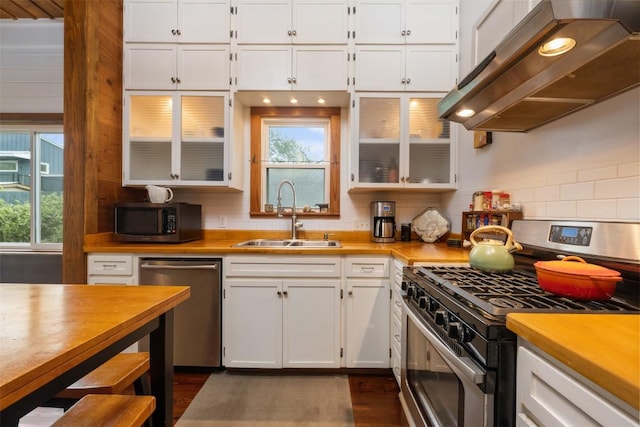 kitchen with a sink, tasteful backsplash, ventilation hood, appliances with stainless steel finishes, and white cabinets