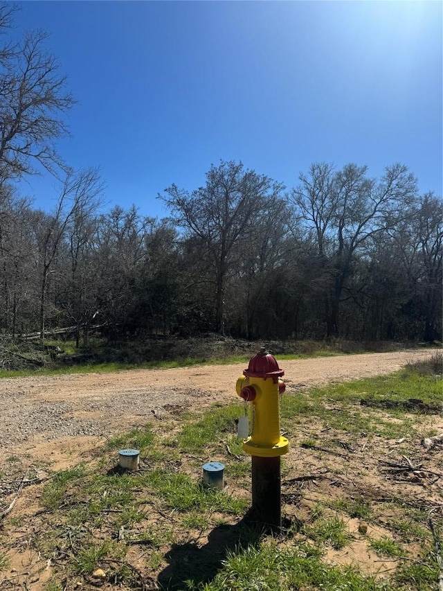 Listing photo 3 for LOT321 Kolekole Ln, Bastrop TX 78602