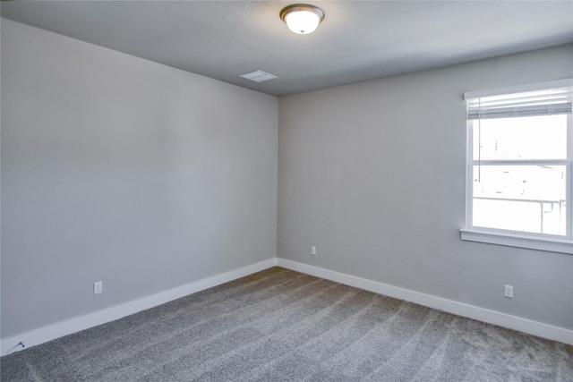 205 Pinnacle Ln, Kyle, TX 78640 - spare room with healthy amount of natural light, carpet, and baseboards