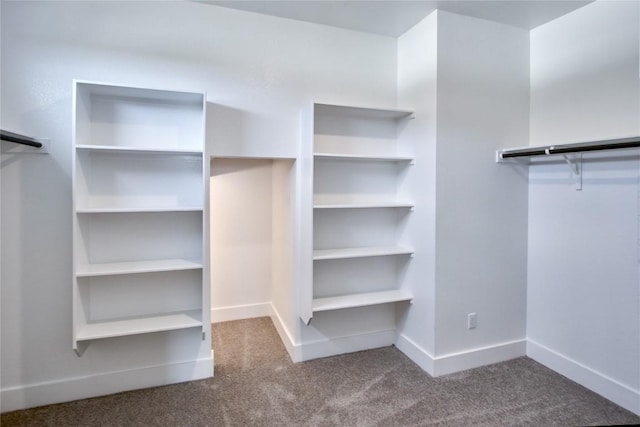 spacious closet featuring carpet