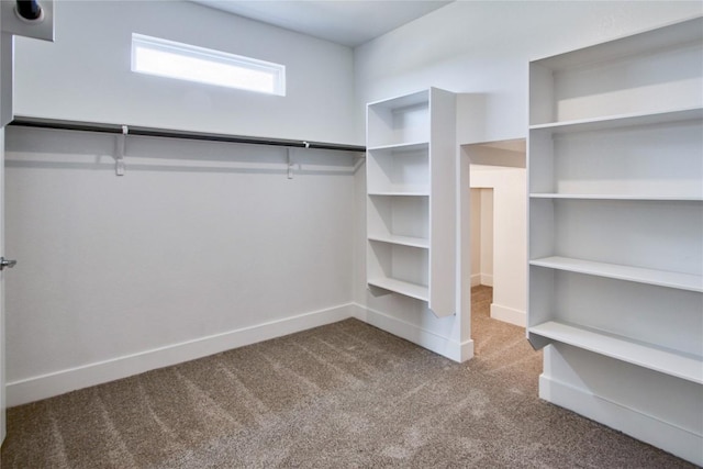 walk in closet featuring carpet flooring