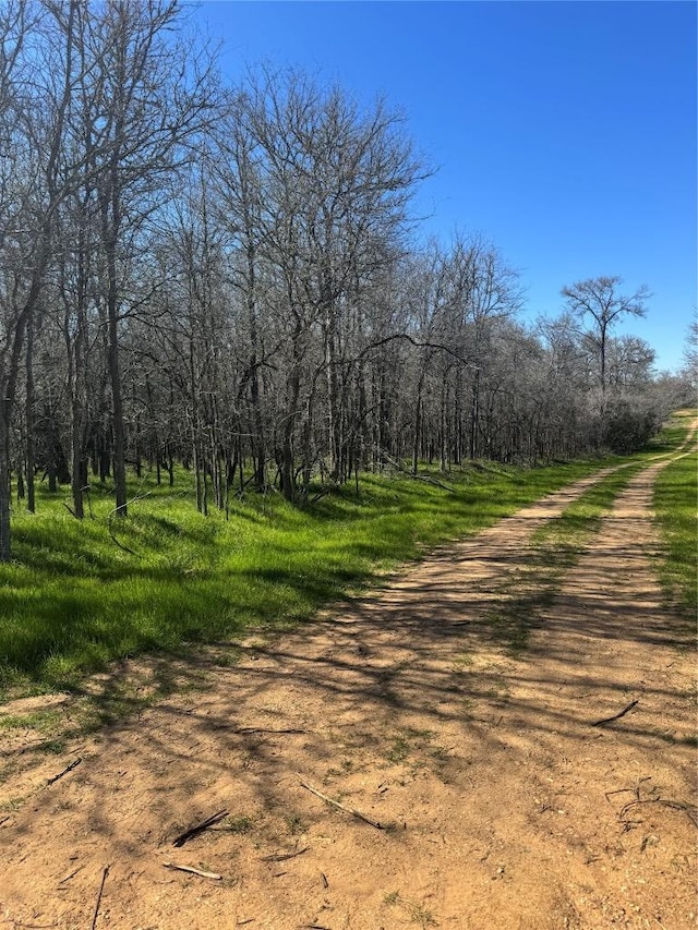 Listing photo 2 for LOT500 Kaaawa Ln, Bastrop TX 78602