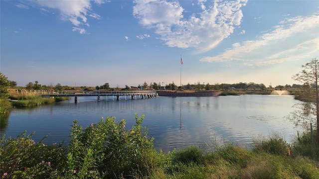 217 Pinnacle Ln, Kyle, TX 78640 - water view