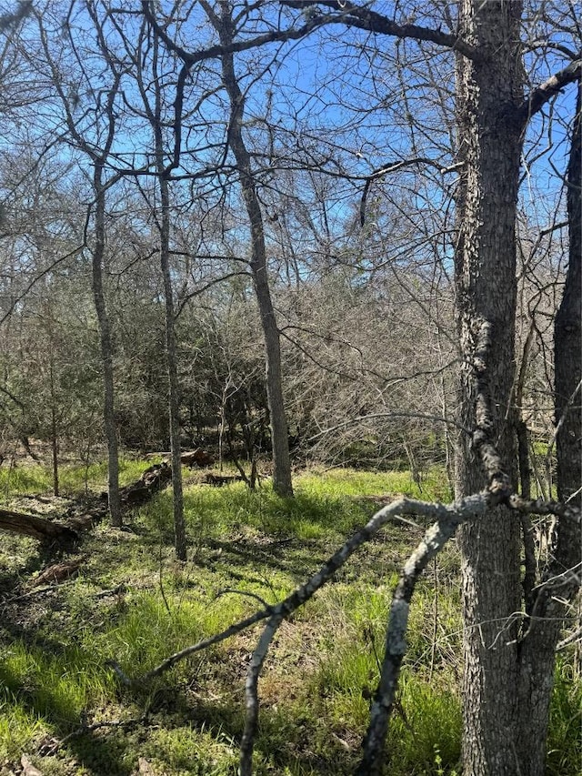 289 Iva Ln, Bastrop TX, 78602 land for sale