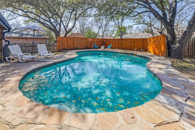 view of swimming pool featuring a patio area, a fenced in pool, and a fenced backyard