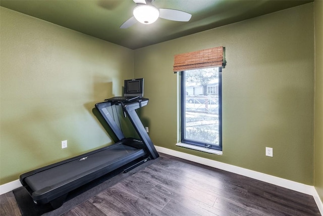 exercise room with wood finished floors, baseboards, and ceiling fan