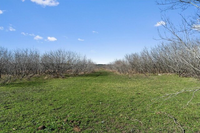 00 Rolling Ridge Rd, Lockhart, TX 78644 - photo 17