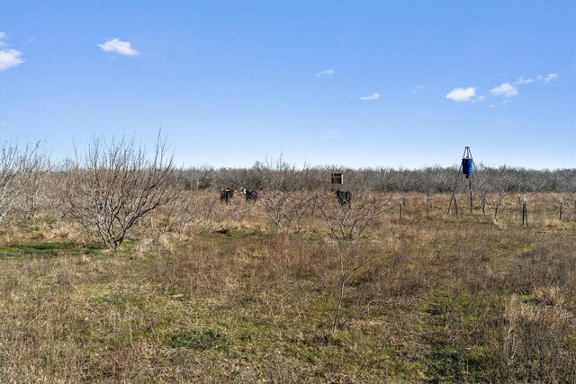 00 Rolling Ridge Rd, Lockhart, TX 78644 - photo 21