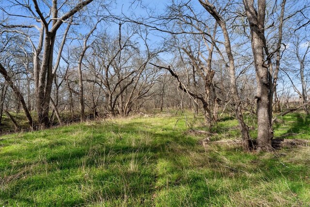 00 Rolling Ridge Rd, Lockhart, TX 78644 - photo 26