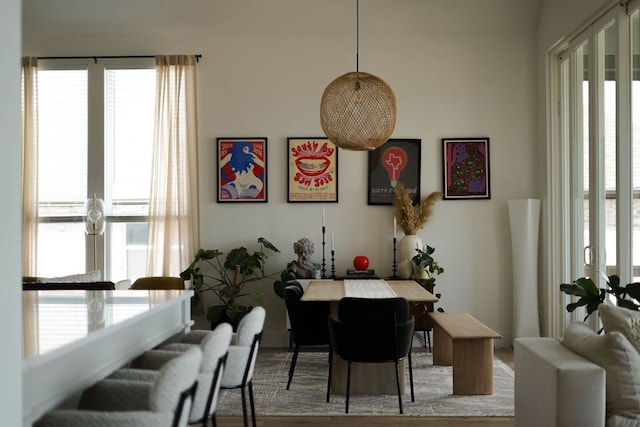 dining room with french doors and plenty of natural light