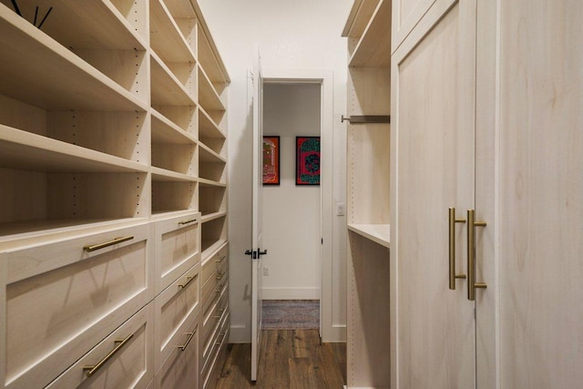 walk in closet featuring dark wood-type flooring