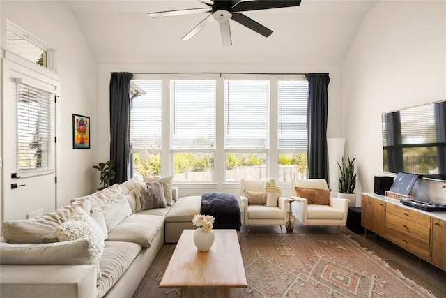 296 Running Bird Rd, Austin, TX 78737 - living room featuring lofted ceiling, a ceiling fan, wood finished floors, and plenty of natural light