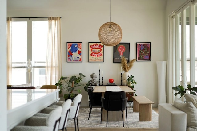 296 Running Bird Rd, Austin, TX 78737 - dining room with plenty of natural light