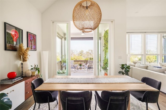 296 Running Bird Rd, Austin, TX 78737 - dining space featuring wood finished floors and lofted ceiling