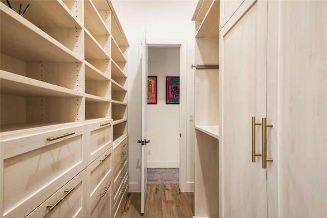296 Running Bird Rd, Austin, TX 78737 - spacious closet with dark wood-style floors