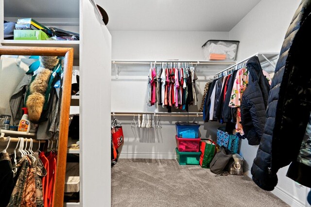 2807 Grimes Crossing Rd, Copperas Cove, TX 76522 - spacious closet featuring carpet floors