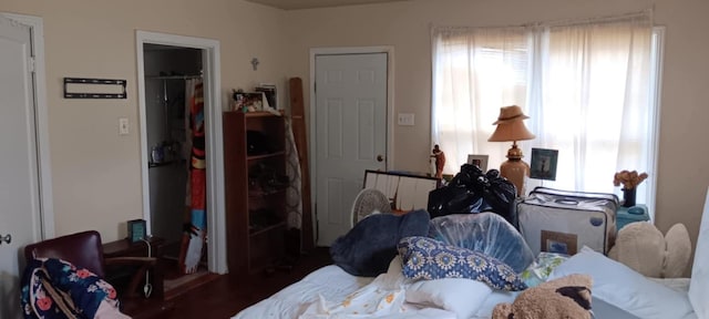 bedroom with a spacious closet, a closet, and wood finished floors