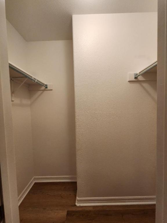 spacious closet featuring dark wood-style floors