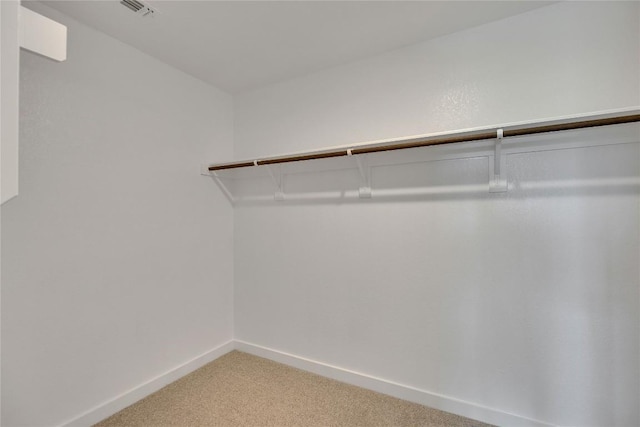 208 Seattle Slew Dr, Jarrell, TX 76537 - walk in closet with light colored carpet
