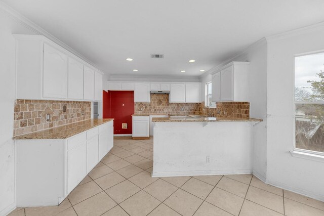 15009 Mossycup Ln, Austin, TX 78724 - kitchen featuring a peninsula, under cabinet range hood, ornamental molding, light stone counters, and tasteful backsplash